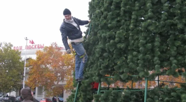 В Севастополе на площади Нахимова установлена городская ёлка