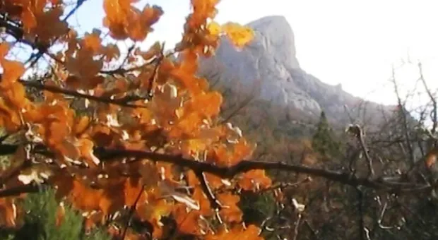 Ориентировщики закрыли сезон