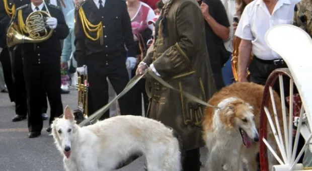 Севастопольцы восторженно встретили Екатерину II(фото и видео) Севастопольцы восторженно встретили Екатерину II(фото и видео)