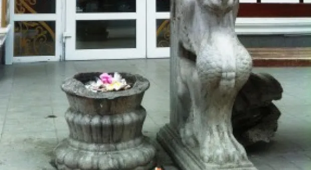 Новогодняя МЕЧТА с остановки «Очаковцев»