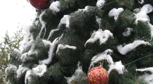 В детском городке «Лукоморье» открыли Южную резиденцию Деда Мороза