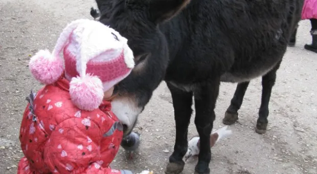 В детском городке «Лукоморье» открыли Южную резиденцию Деда Мороза