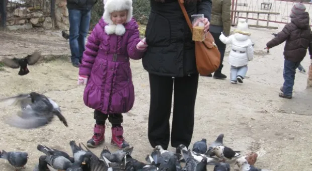 В детском городке «Лукоморье» открыли Южную резиденцию Деда Мороза