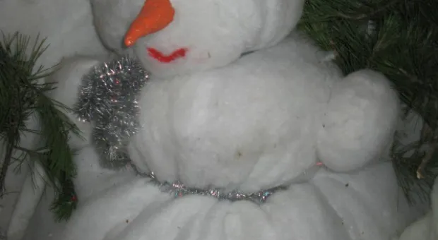 В детском городке «Лукоморье» открыли Южную резиденцию Деда Мороза