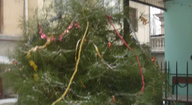 9 января. Первый севастопольский снежок