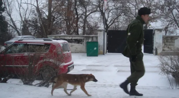 9 января. Первый севастопольский снежок