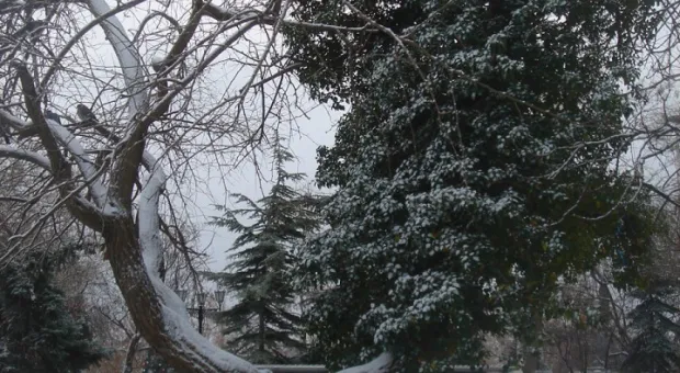 9 января. Первый севастопольский снежок