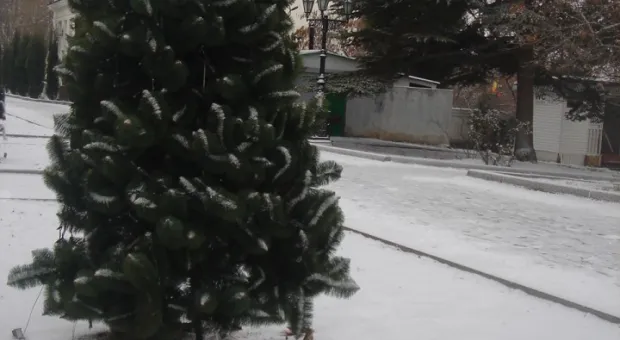 9 января. Первый севастопольский снежок