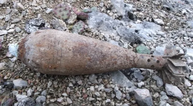 Севастополец на прогулке нашел миномётную мину