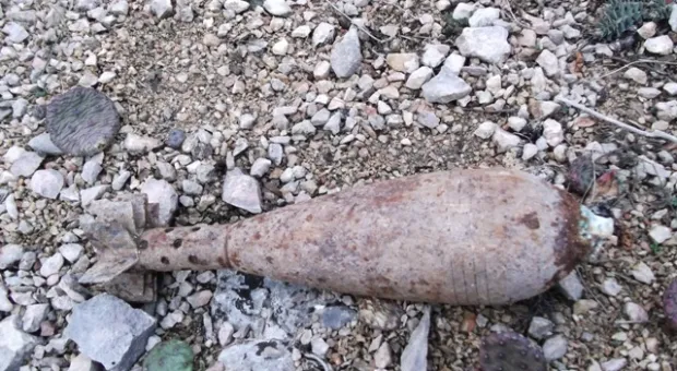 Севастополец на прогулке нашел миномётную мину
