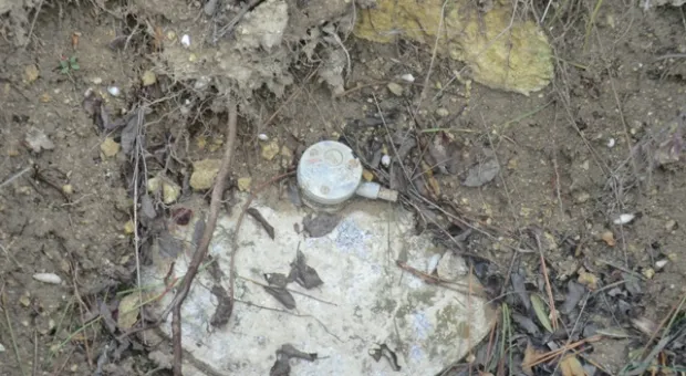 В севастопольском лесу нашли противотанковую мину