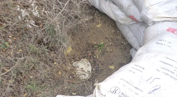 В севастопольском лесу нашли противотанковую мину