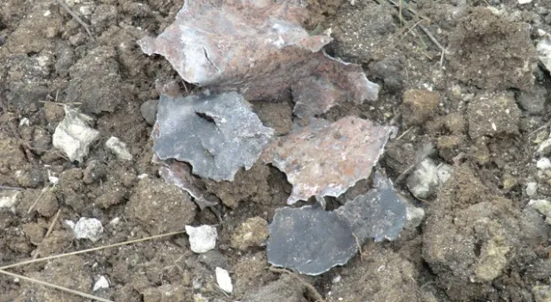 В севастопольском лесу нашли противотанковую мину