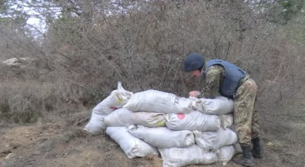В севастопольском лесу нашли противотанковую мину
