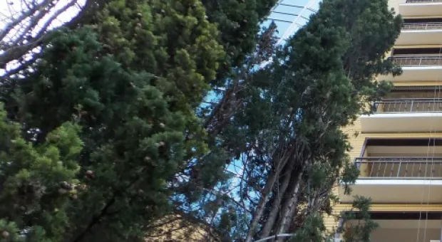 «ВЕРШИНА УСПЕХА» распахнула ворота… Для прокуратуры Севастополя?