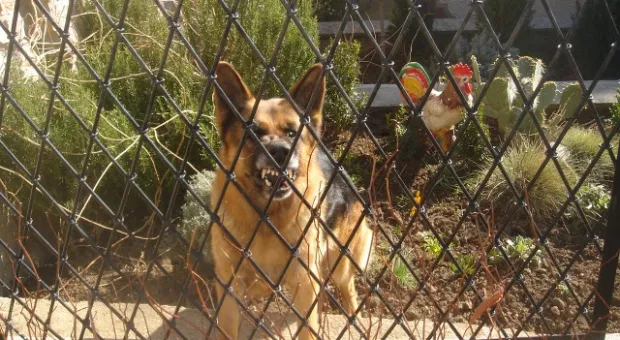 Открытка из восьми долин в окрестностях Севастополя