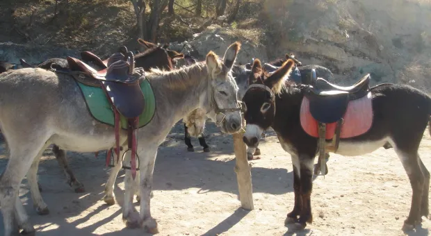 Открытка из восьми долин в окрестностях Севастополя