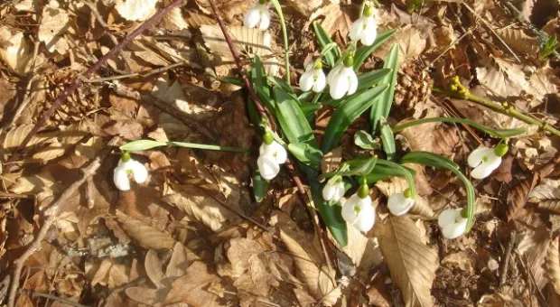 Открытка из восьми долин в окрестностях Севастополя