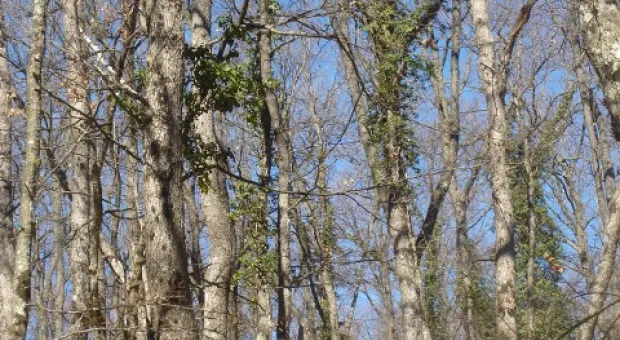 Открытка из восьми долин в окрестностях Севастополя