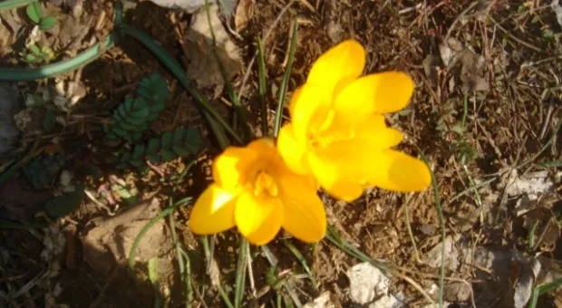 Открытка из восьми долин в окрестностях Севастополя