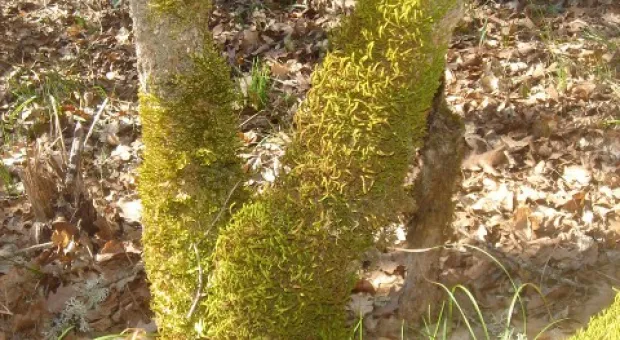 Открытка из восьми долин в окрестностях Севастополя