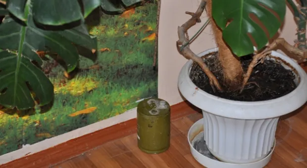 Севастопольский школьник принёс в класс мину