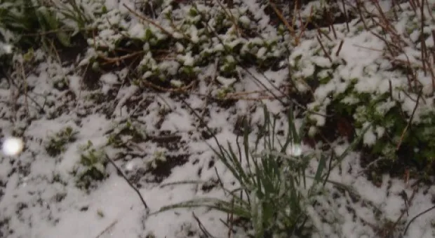 ... и отдалённые седой зимы угрозы