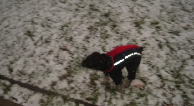 ... и отдалённые седой зимы угрозы