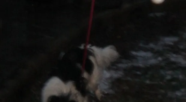 ... и отдалённые седой зимы угрозы