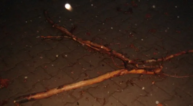 ... и отдалённые седой зимы угрозы