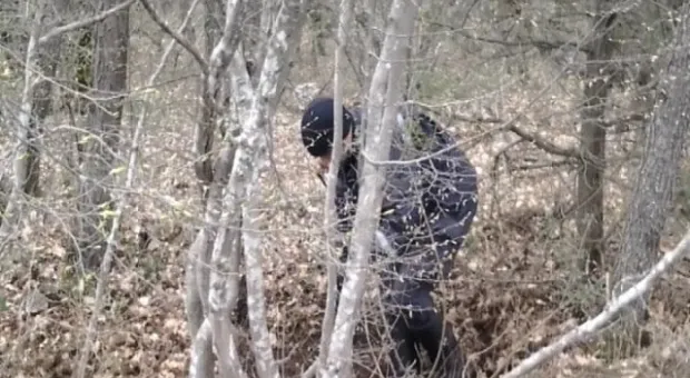 В Севастополе при разминировании лесополосы обнаружены пять баллонов с ртутью