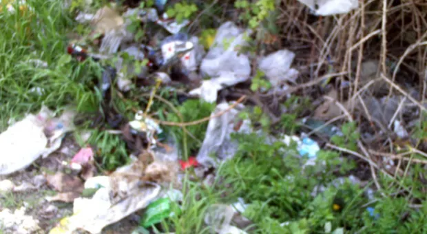 Севастопольцы с улицы Прутовцев дружно вышли на субботник