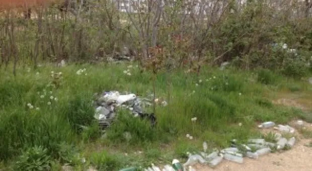 Депутат Лунёнок призывает гагаринцев навести порядок в детском парке на улице Павла Корчагина