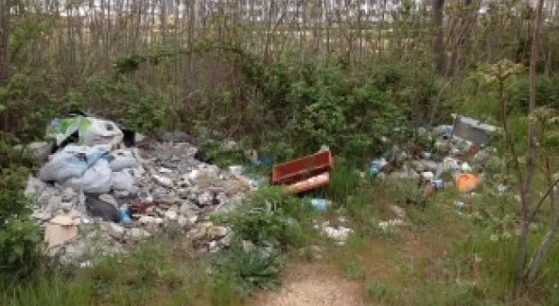 Депутат Лунёнок призывает гагаринцев навести порядок в детском парке на улице Павла Корчагина