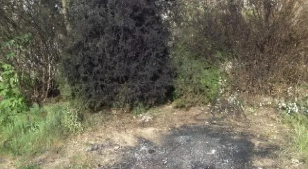 Депутат Лунёнок призывает гагаринцев навести порядок в детском парке на улице Павла Корчагина