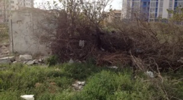 Депутат Лунёнок призывает гагаринцев навести порядок в детском парке на улице Павла Корчагина