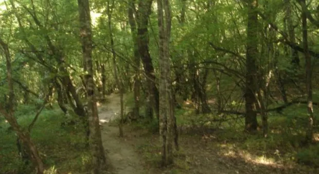 "Здесь чувствуешь величие богов..." Крымские прогулки