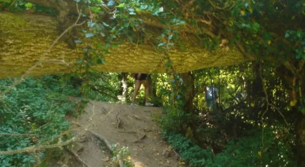 "Здесь чувствуешь величие богов..." Крымские прогулки