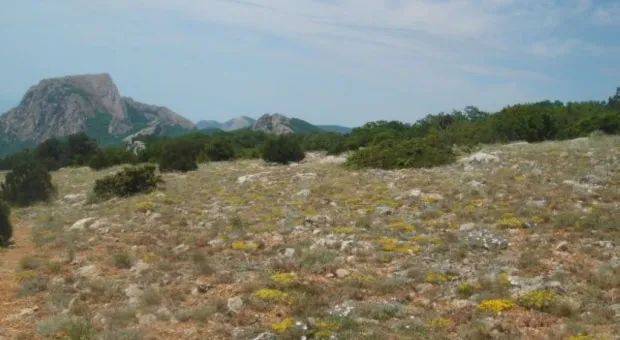 "Здесь чувствуешь величие богов..." Крымские прогулки