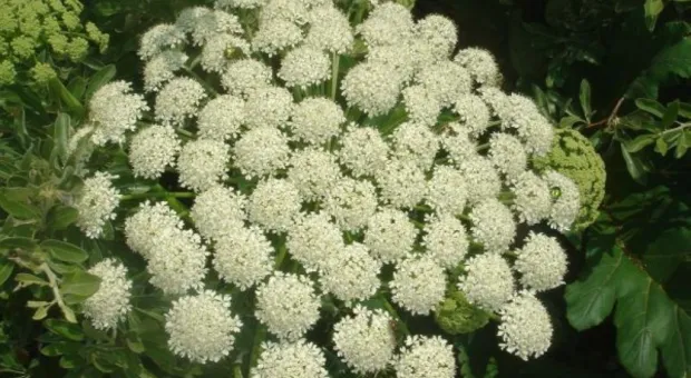 "Здесь чувствуешь величие богов..." Крымские прогулки