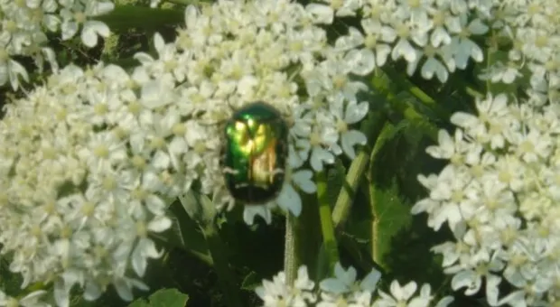 "Здесь чувствуешь величие богов..." Крымские прогулки