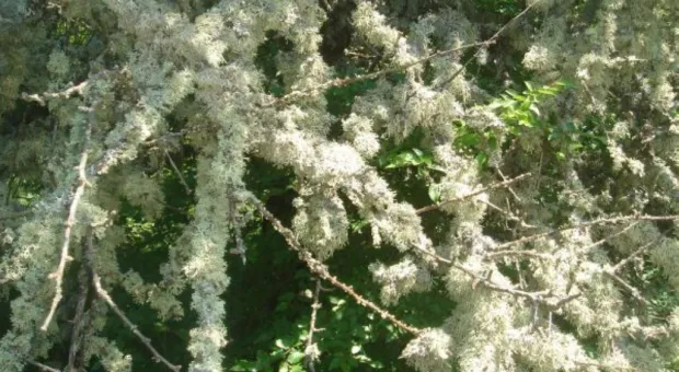 "Здесь чувствуешь величие богов..." Крымские прогулки