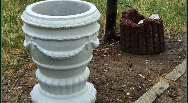 Где финиш может наступить уже на старте... В Севастополе есть целый парк гнилых деревьев