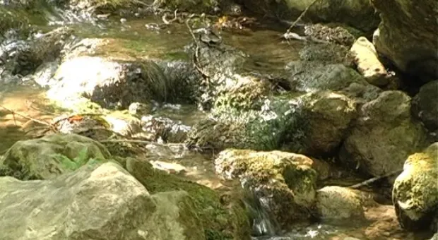 Торопова дача готова к приему отдыхающих