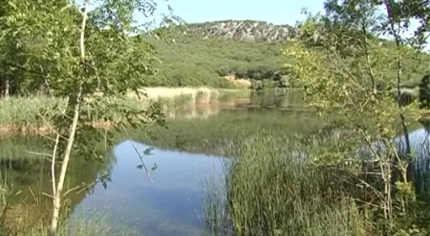 Торопова дача готова к приему отдыхающих