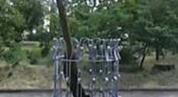 В Севастополе спасают «дерево огненных дней» - старый миндаль на Малаховом кургане В Севастополе спасают «дерево огненных дней» - старый миндаль на Малаховом кургане