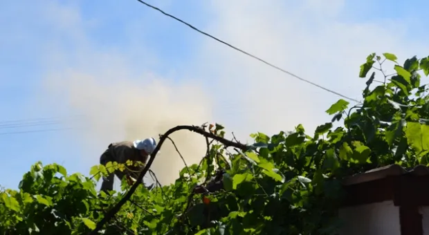 Официальное сообщение о пожаре на хладокомбинате в Севастополе от МЧС