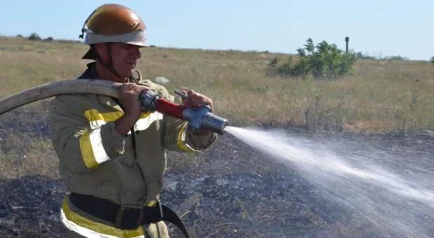 В Севастополе горели заброшенные виноградники