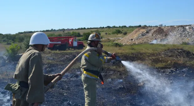 В Севастополе горели заброшенные виноградники