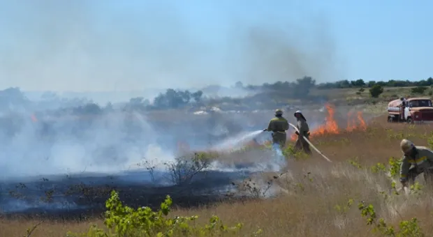 В Севастополе горели заброшенные виноградники